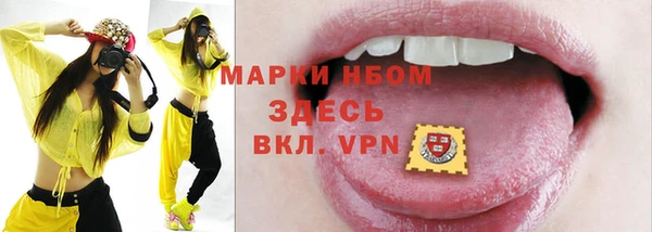 индика Армянск