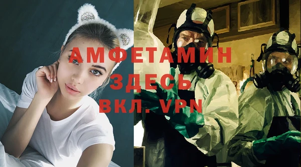 индика Армянск