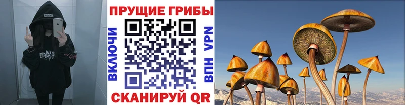 купить   Углегорск  Псилоцибиновые грибы GOLDEN TEACHER 